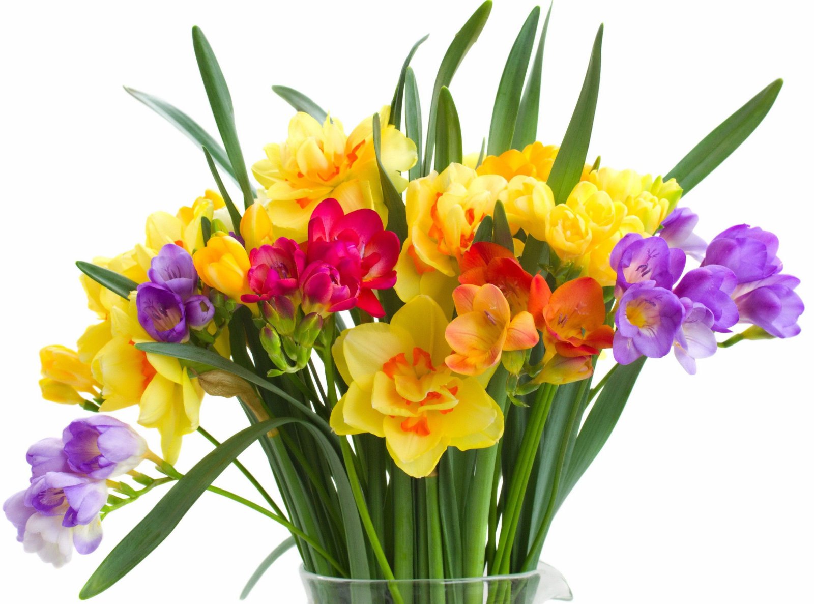 priyanka singh and taj Mumbai priyanka singh delhi priyanka singh taj pharma wiki priyanka singh song priyanka singh director biography priyanka 