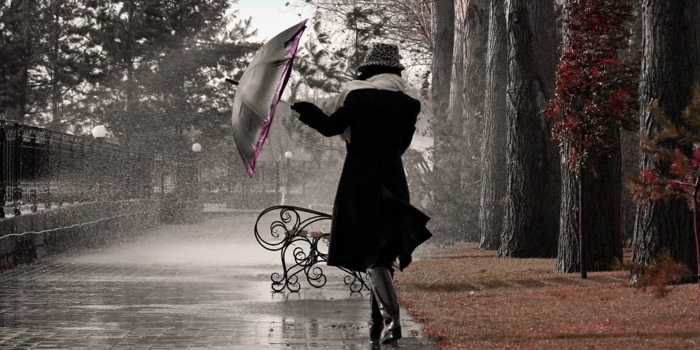 A rainy day: a magical moment to recall