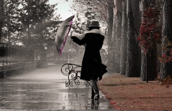 A rainy day: a magical moment to recall