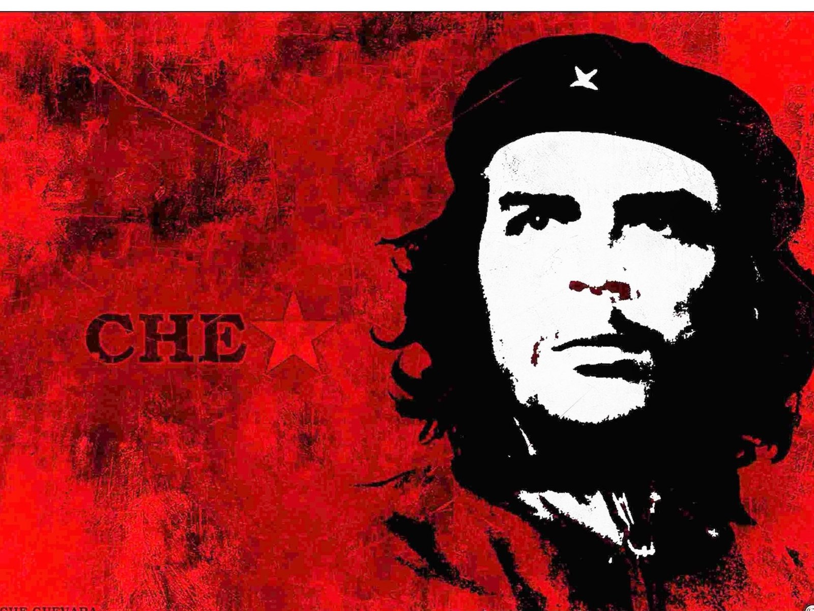 Che Guevara: A Revolutionary Life