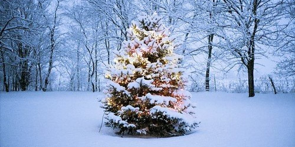 An Immigrant’s Christmas Eve