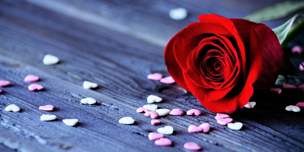 Do Men Really Not Want to Be with Intelligent Women