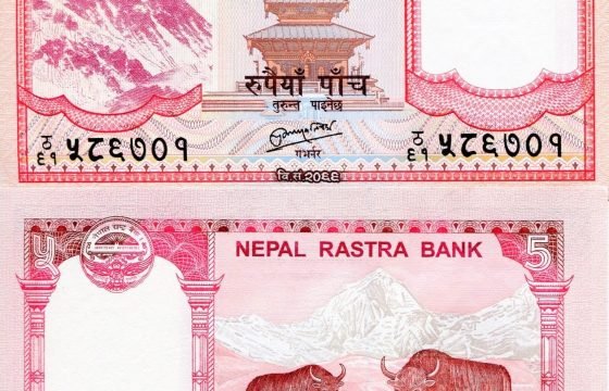 Nepal Government helping Women Entrepreneurs with Loans