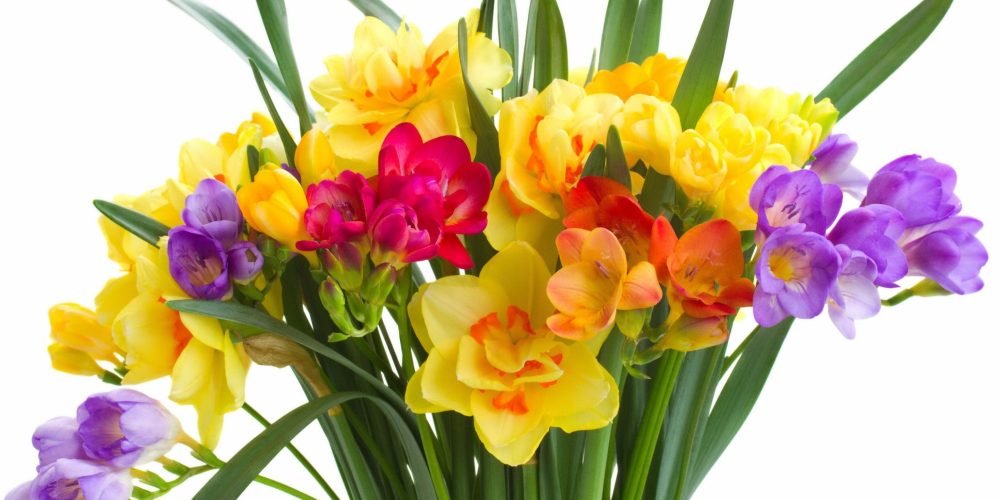 43 percent of Indian women don’t have access to sanitary pads