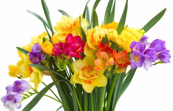 43 percent of Indian women don’t have access to sanitary pads