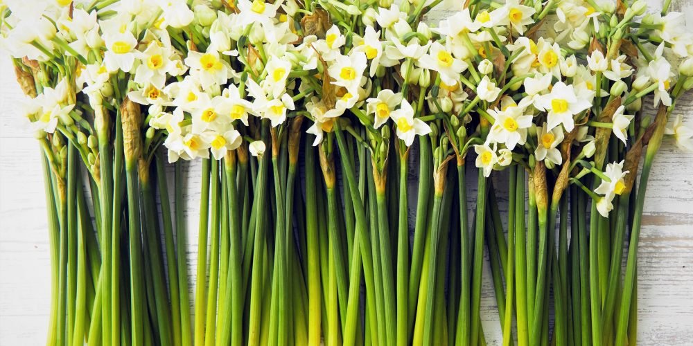 Everything happens for a reason