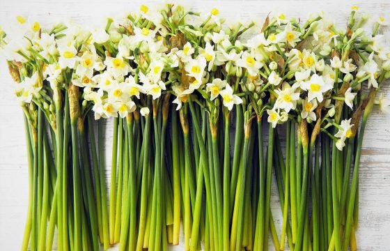 Everything happens for a reason