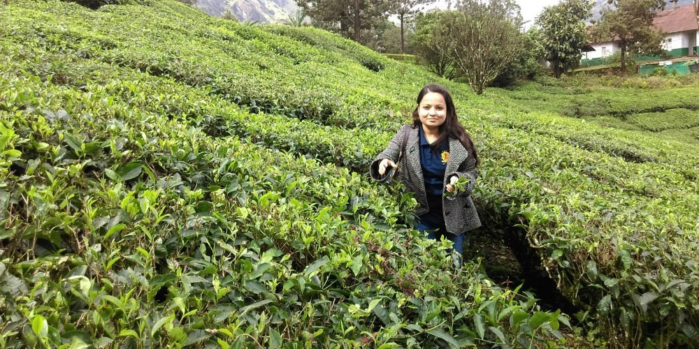 Munnar truly a paradise in south India by Ms. Priyanka Singh